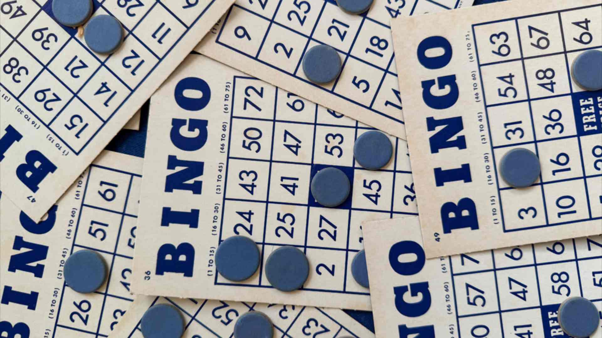 AI Lottery Number Generator for Today and What It Can Actually Predict